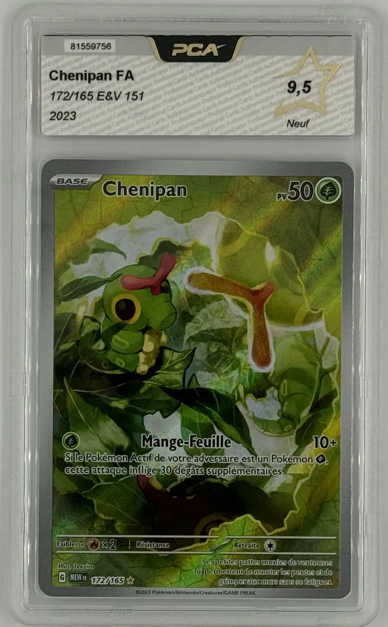 Chenapan FA 172/165 E&V 151 2023 - PCA 9,5